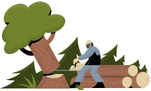Tree Cutting & Removal