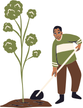 Plantation Services