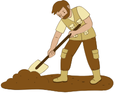 Wood Pile Management
